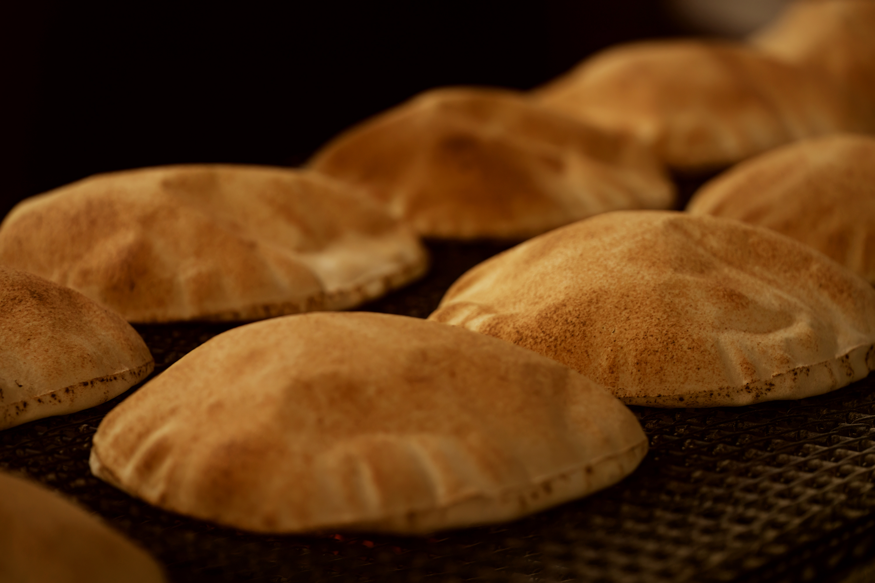 Arabic Bread Large